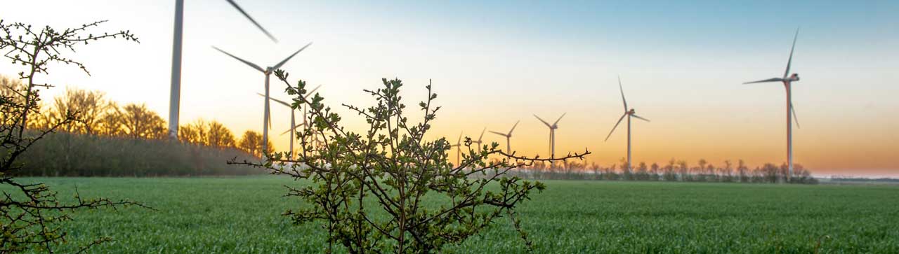 Vindmøller på mark ved solnedgang
