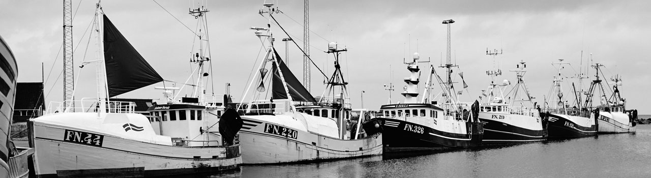 Fiskekuttere